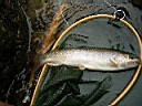 2007-06-15 108.JPG